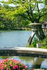 Fototapeta premium 城下町・金沢 新緑の兼六園 ※灯籠の隣のモミジは若い木に変わりました