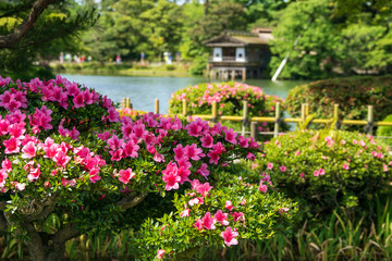 Fototapeta premium Kenrokuen, miasto zamkowe i świeża zieleń Kanazawa
