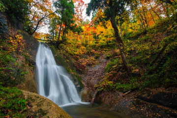 Waterfall among many foliage, In the fall leaves Leaf color change In Yamagata, Japan
