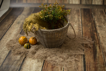 wicker basket on white background. basket of vines. autumn basket. little pumpkins. branch with yellow leaves