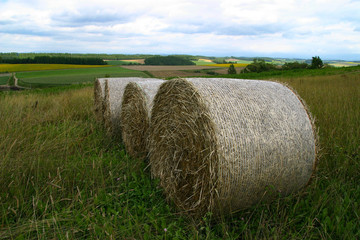 美瑛町の麦稈ロール4