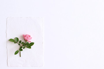 Feminine wedding still life composition. Mock-up scene with blank paper card and pink rose. Flat lay, top view, copy space.