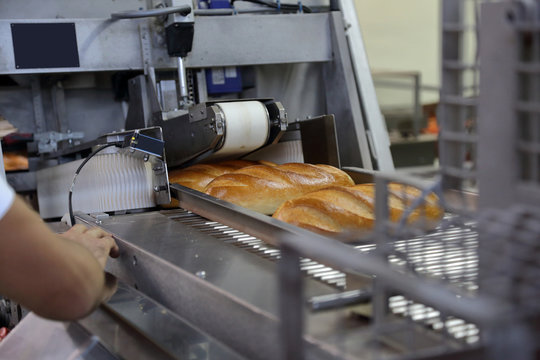 Industrial equipment and machinery at the factory of bread and sweets