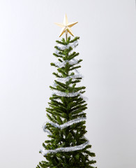 Christmas Tree isolated on white