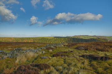 Fototapeta premium autumn colours in the uk