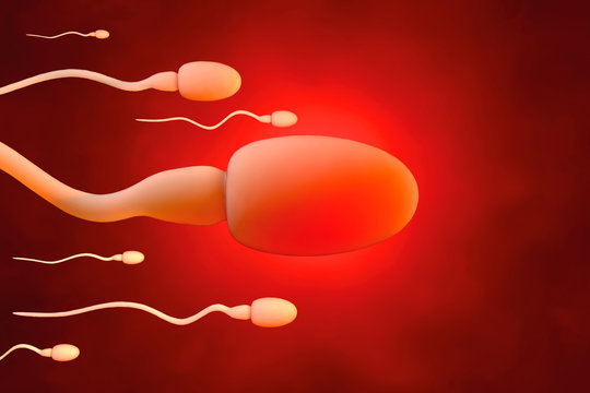 Sperm cells trying to reach an egg cell, D Rendering