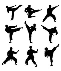 Martial Arts Silhouettes - obrazy, fototapety, plakaty