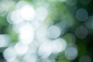 Natural green gradient light and blurred effect image design for presentation background