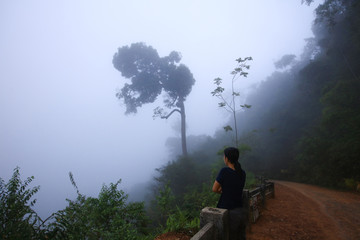 A woman standing see mist or sea of flog in  valley  at Panoenthung Scenic Point, Phetchaburi province , Thailand
