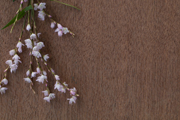 Obraz na płótnie Canvas Vintage wooden background with pink flowers