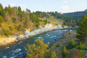 View of the Yellowstone River in Yellowstone National Park