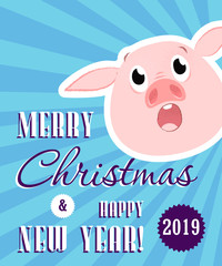 Merry Christmas and happy New Year creative banner. Excited little pig on blue background. Template can be used for greeting cards, postcards, posters and brochure