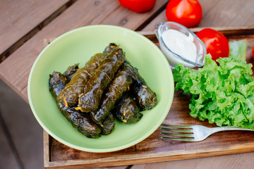 Dolma - traditional Caucasian, Georgian or Armenian food. Minced meat and rice wrapped in grape leaves.
