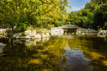 Fototapeta na wymiar autumn seasonal garden park outdoor place for rest and walking without people small lake and wooden bridge nature environment landscape design in clear fresh weather time