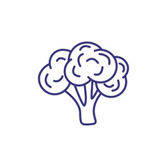 Cauliflower line icon. Vegetable, antioxidant, broccoli. Nutrition concept. Vector illustration can be used for topics like food, diet, healthy eating