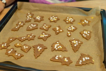Lebkuchen am Blech vor dem Backen, Plätzchen