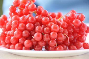 Bunch of red organic healthy juicy viburnum berries with drops of water on white porcelain plate and blurred neutral table cloth and blue background