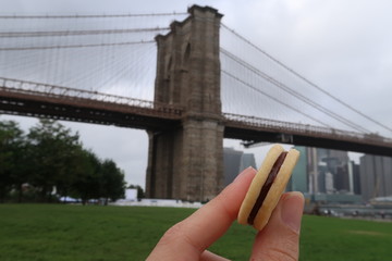 Cookie Brooklyn Bridge