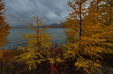 Russia. Magadan. The amazing beauty of the autumn of the Far East. The lake Maxi