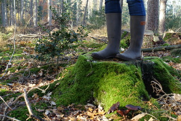 Stiefel Baumstamm Moos Wald Beine