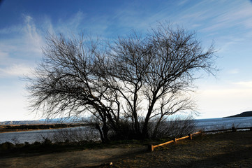 Bariloche - Argentina 