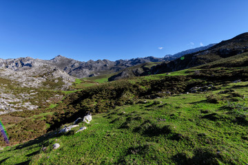Fototapeta na wymiar Landscape of Picos de Europa National Park
