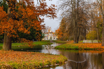 Fototapeta na wymiar Autumn. Catherine Park. Pushkin, St. Petersburg, Russia
