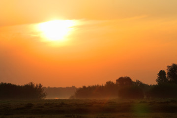 Fototapeta na wymiar Spring sunrise landscape over the meadows along the Vistula river in Mazovia region in Poland.