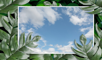 Tropical palm leaves with sky frame image for your design  Minimal nature. Summer Styled. Flat lay, Original dimensions 6480 X 3780 pixels