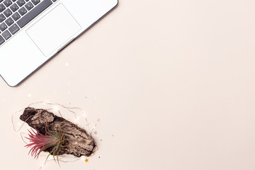 top view of the workspace with a laptop, and an exotic plant tillandsia, airplants on the tree cora with garlands, sparkles. flat lay with space for text