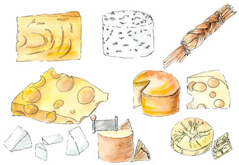 watercolor cheese sketch drawn by hands. print food sign