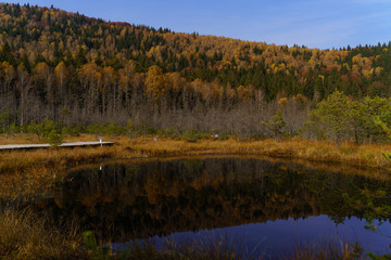 Nature autumn colors