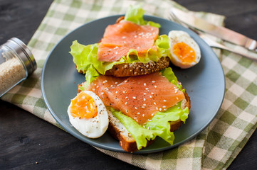  Smoked salmon sandwich appetizer with toasted bread