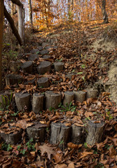 wooden steps in autumn.