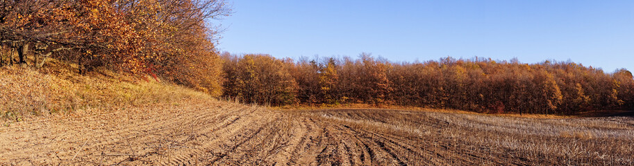 Agricultural autumn landscape in New England, USA
