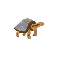 Vector illustration. Cartoon style icon of galapagos tortoise. Cute character for different design.