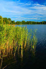 Naklejka na ściany i meble Lake summer landscape over the Wejsunek lake in Wejsuny in Masuria region in Poland