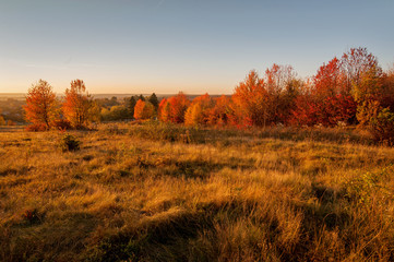 autumn landscape with red trees and grass