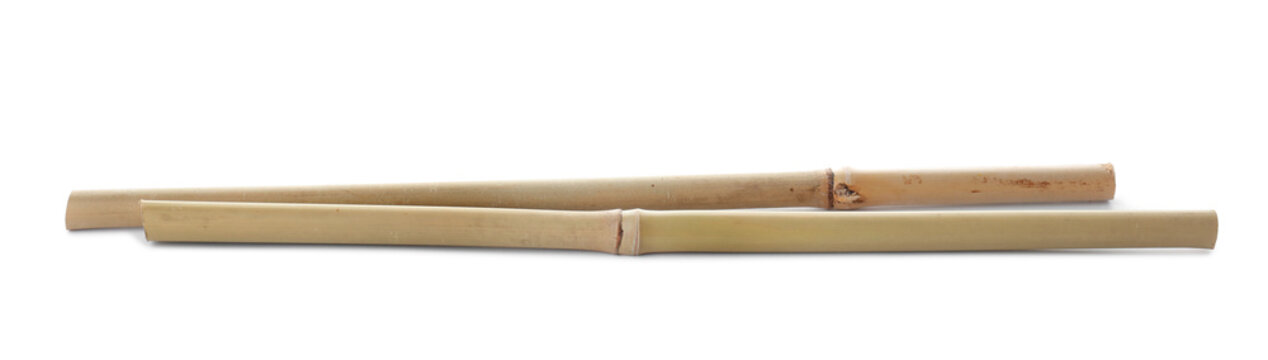Dry bamboo sticks on white background