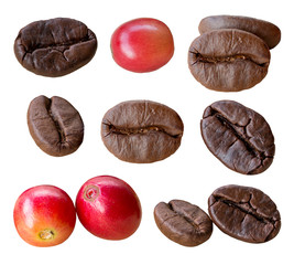 Isolated set of coffee berries, beans and coffee cherries from arabica coffee. This file has clip paths separate object easy to useful for works like menu design, brochure, magazine, food business