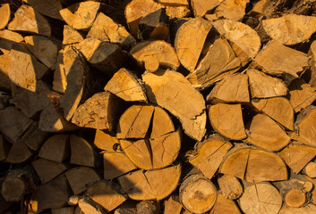 Fototapeta premium logs texture