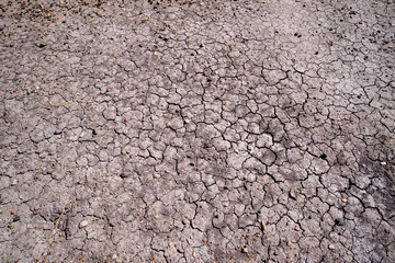 Dry, barren, cracked soil of the Petrified Forest National Park and Painted Desert in Arizona USA
