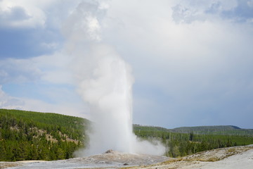 Eruption of the Old Faithful Geyser in Yellowstone National Park, Wyoming, United States