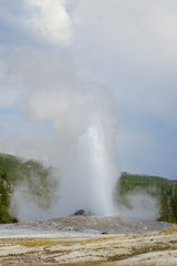 Eruption of the Old Faithful Geyser in Yellowstone National Park, Wyoming, United States