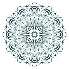 Sacred oriental mandala. color floral ornament. Abstract shapes in Asian style. Vector Illustration