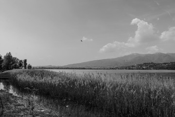 Pusiano lake , panorama , Italy