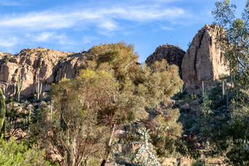 Bryce Arboretum in Arizona