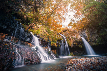 Waterfall with autumn foliage in Fujinomiya, Japan.