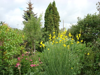 Obraz premium parkland