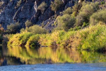 water in the desert landscape